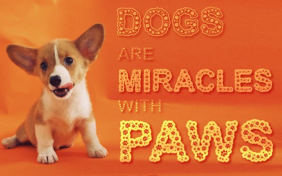 Dog Paws Font