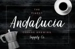 Dollyn Script – Casual Playful Font