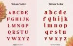 Dream Letter, Display Serif Font