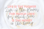 Dream Miracless Font