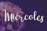 Dulce Ni a Script Font