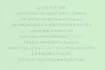 Dunlin Light Font