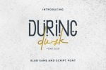 During Dusk Font