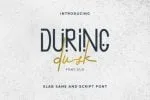 During Dusk Font