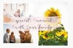 Dyana Font