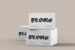 ED Begonia Font