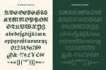 ED Begonia Font
