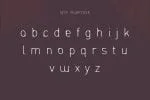 ENTRA Extended Font