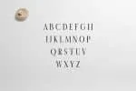 Earwyn Serif 3 Font Family