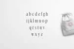 Earwyn Serif 3 Font Family