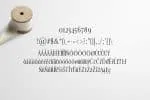 Earwyn Serif 3 Font Family