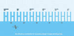 East Font Family