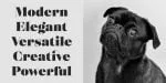 Eckhart Font