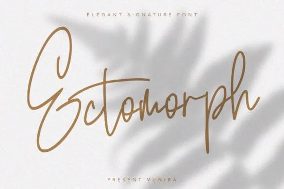 Ectomorph Elegant Signature Font