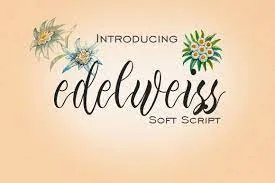 Edelweiss Soft Script