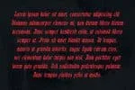 Eksellena Font