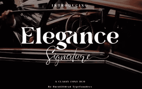 Elegance Signature Font