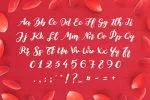 Elegant Roughness Font