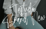 Elemantors Brush Stroke Script Typeface Alternate Font