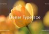 Elenar Typeface Family Font