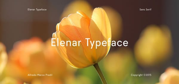 Elenar Typeface Family Font