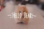 Elephant Cutie Font