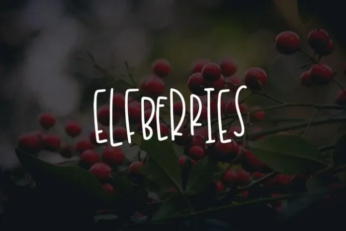 Elfberries