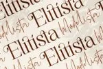 Elitista Modelista - Font Duo