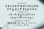 Elliot Writter Font