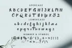 Elliot Writter Font
