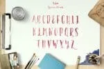 Ellise Naomy Script Font