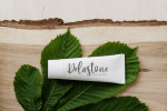 Elmore Font
