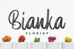 Elpanas - Beuty Brush Script