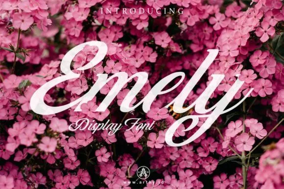 Emely Font