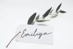 Emiliya Font