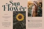 Emilly Font