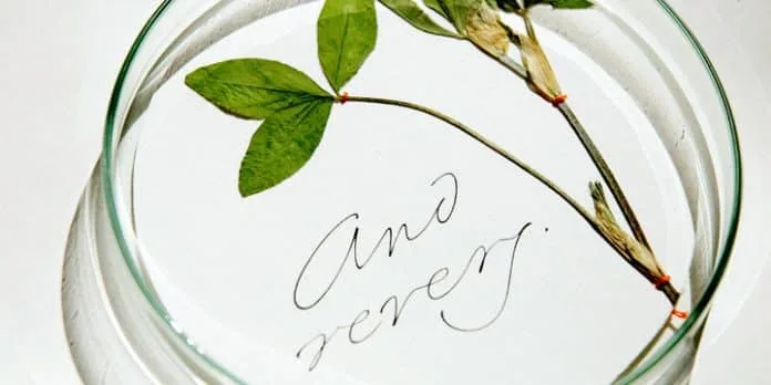 Emily In White Font