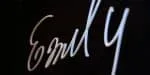 Emily In White Font