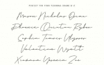 Emma Goulding Signature Collection Script Font