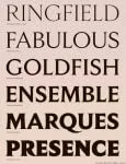 Empirica Font Family