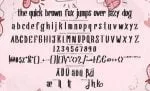 Enbick Modern Funtype Font