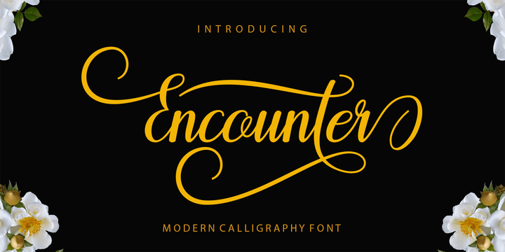 Encounter Font