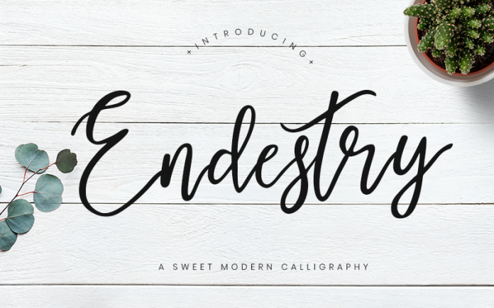Endestry Modern Calligraphy