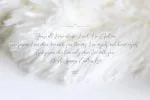 Endless Script Font