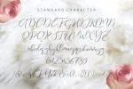 Endless Script Font