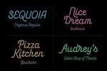 Energetic Script Font