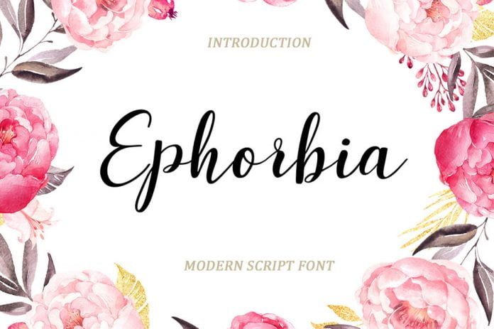 Ephorbia Font