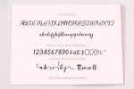 Ephorbia Font