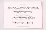 Ephorbia Font