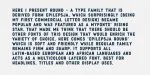 Epilepsja Round Font